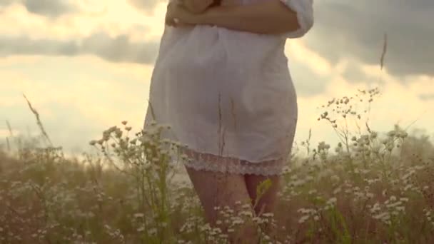 Romantyczne dziewczynka na lato pole — Wideo stockowe