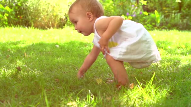 Bebé niña dando los primeros pasos — Vídeo de stock