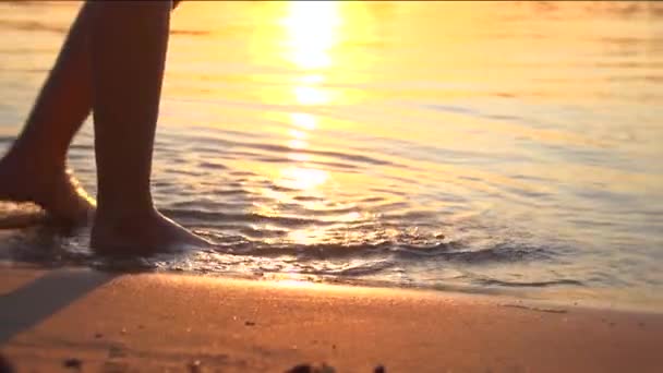 Mujer caminando sobre la playa descalza — Vídeos de Stock