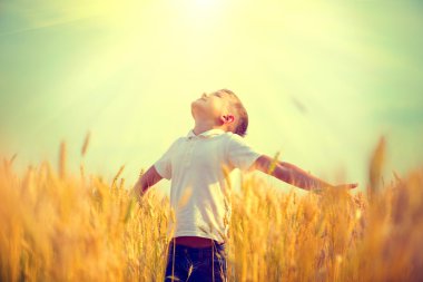 Little boy on a wheat field clipart