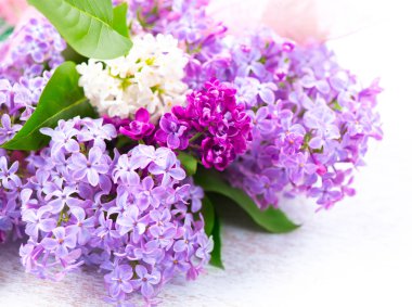 Eflatun çiçekler grup arka plan üzerinde