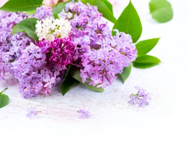 Eflatun çiçekler grup arka plan üzerinde