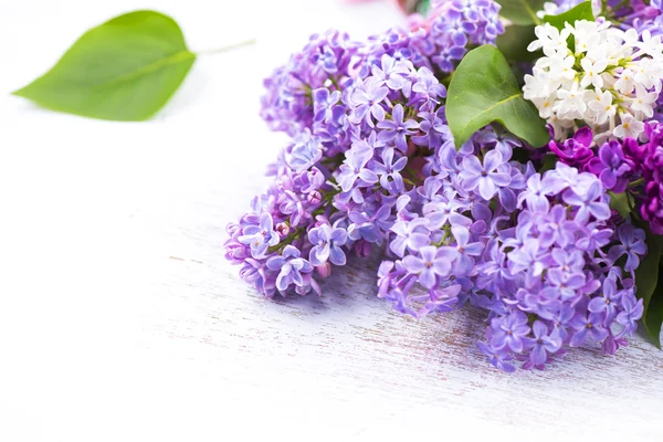 Lilac flowers bunch over  background — Stock Photo, Image