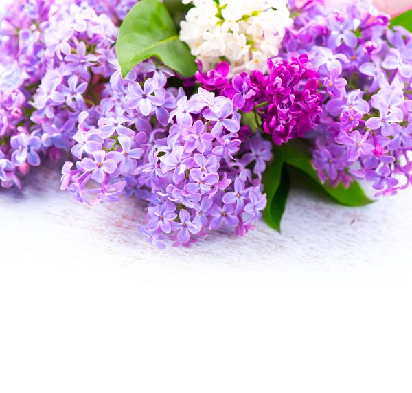 Lilac flowers bunch over  background — Stock Photo, Image