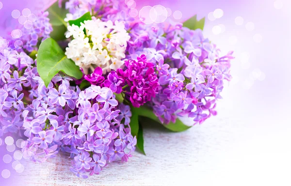 Lilac flowers bunch over  background — Stock Photo, Image