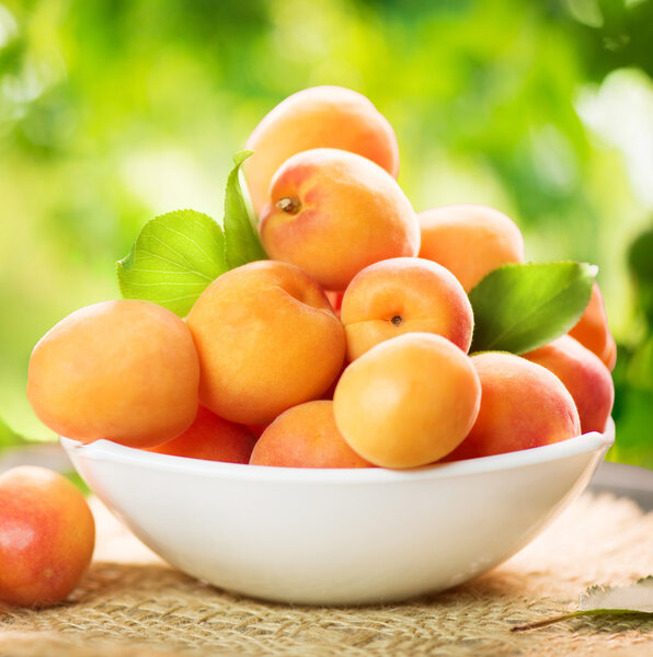 Ripe organic apricots over  background