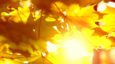 Sarı bulanık arka plan