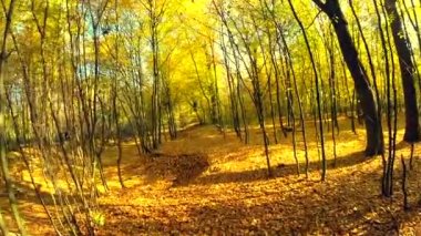 Sonbahar park üzerinden hava atış