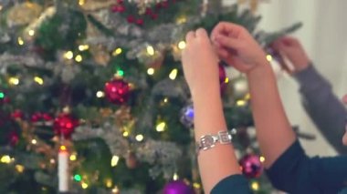 Aile dekorasyonu Noel ağacı