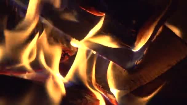 Bonfire burning at night — Stock Video