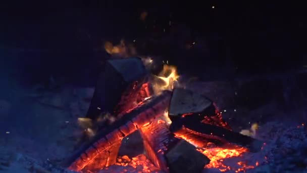 Brand. Vreugdevuur branden 's nachts — Stockvideo