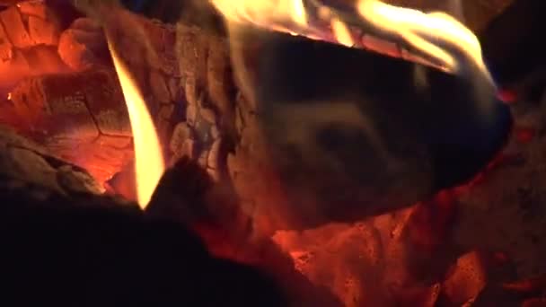 Du feu. Feu de joie brûlant la nuit 