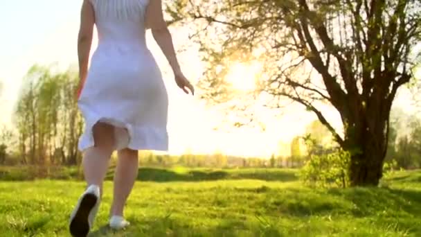 Chica en vestido en el campo — Vídeos de Stock