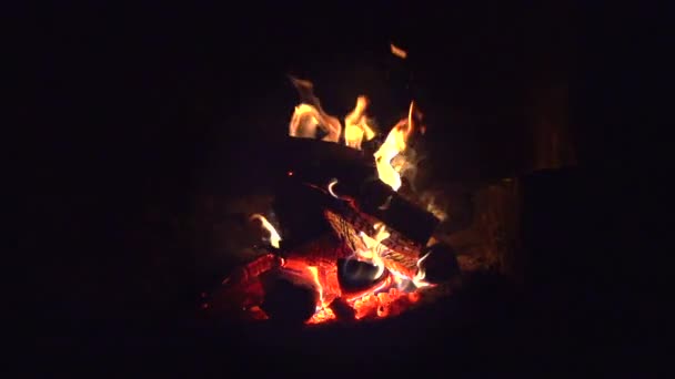 Du feu. Feu de joie brûlant la nuit — Video