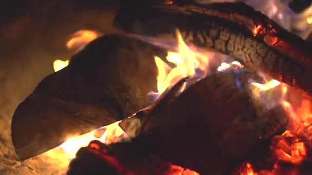 Lareira. Fogo. Fogueira queimando à noite — Vídeo de Stock