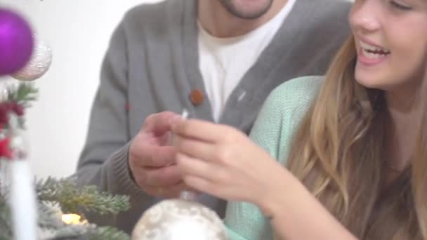 Feliz pareja decorando el árbol — Vídeo de stock