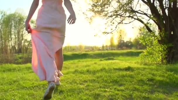 Chica en vestido en el campo — Vídeos de Stock