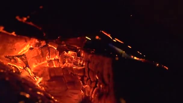 Fire. Bonfire burning at night — Stock Video