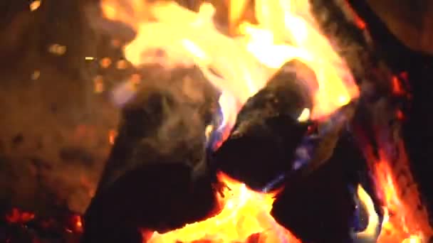 Du feu. Feu de joie brûlant la nuit 