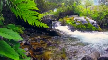 Temiz su ile dağ nehir akar
