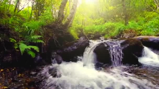 Горная река с пресной водой — стоковое видео