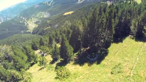 Veduta aerea della foresta montana . — Video Stock