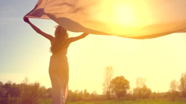 Mädchen im Kleid auf dem Feld — Stockvideo