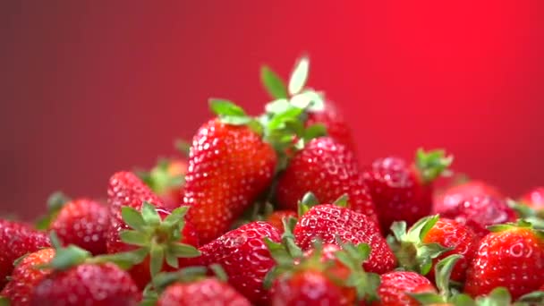 Färska mogna perfekta jordgubbar — Stockvideo