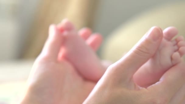 Pies de bebé en manos de madre. — Vídeo de stock