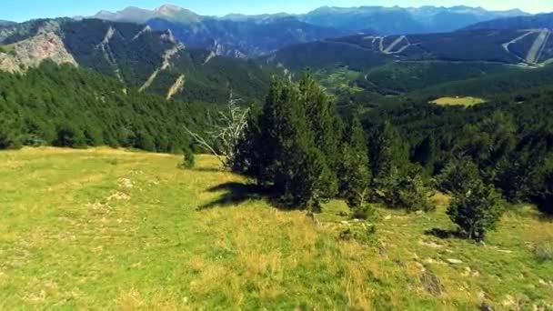 Vista aérea da floresta de montanha . — Vídeo de Stock