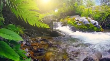 Temiz su ile dağ nehir akar
