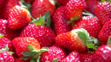 taze olgun mükemmel çilek