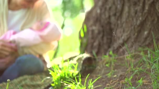 Maman et bébé dans le parc de printemps — Video