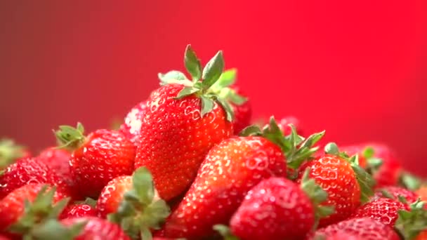 Νωπές ώριμες φράουλες — Αρχείο Βίντεο
