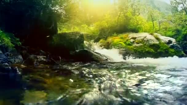 Горная река с потоками воды — стоковое видео