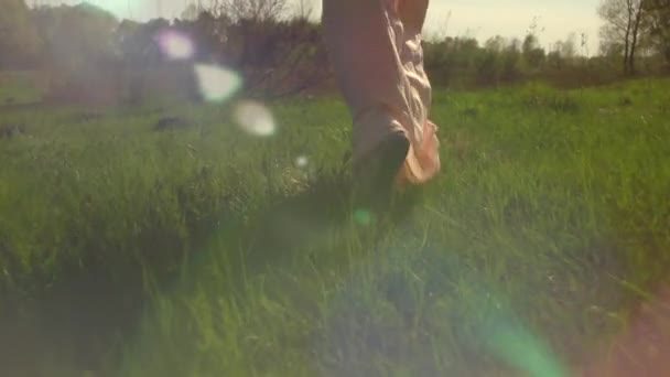 Lány a hosszú ruhában a tavaszi mező — Stock videók