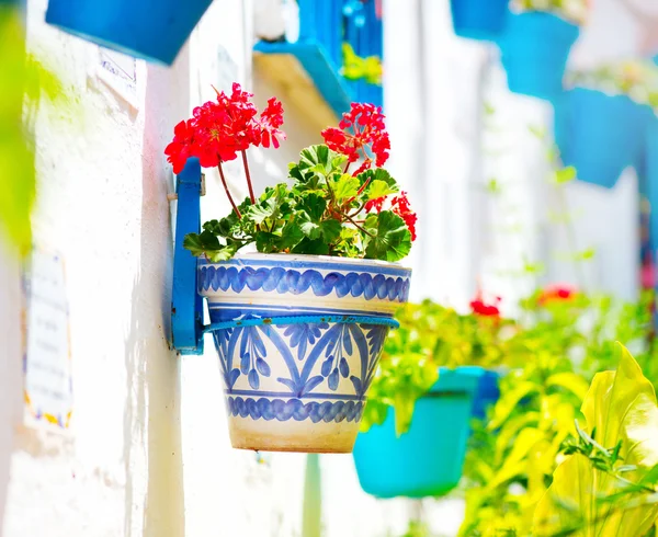 Spain,  Costa del Sol, Andalucia. — Stock Photo, Image