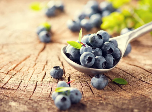 Saftige frisch gepflückte Blaubeeren — Stockfoto