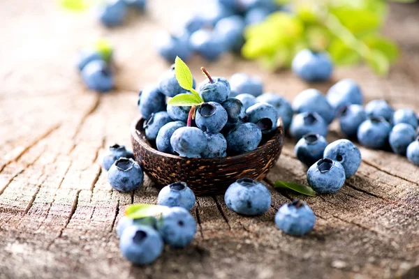 Juicy fresh picked blueberries — Stock Photo, Image