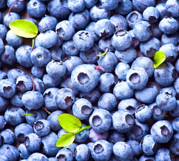 多汁的新鲜采摘的蓝莓 — 图库照片