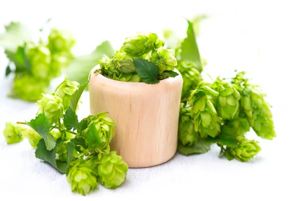 Hop in wooden bowl — Stock Photo, Image