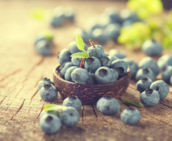 Saftige frisch gepflückte Blaubeeren — Stockfoto