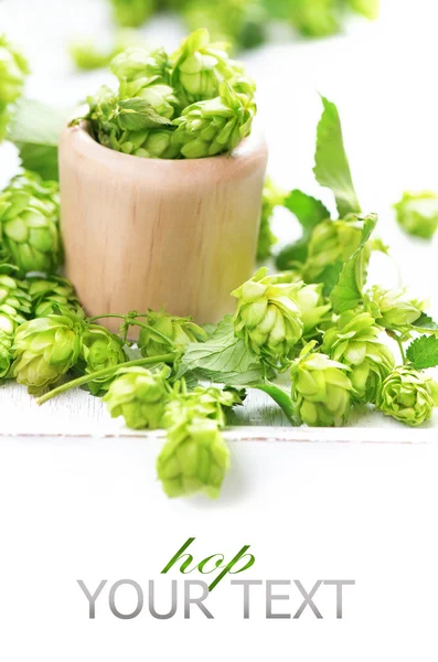 Green hop in wooden bowl — Stock Photo, Image