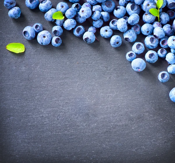 Blueberries bordure design . — Photo
