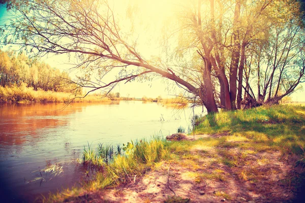 Nehirli sonbahar manzarası. — Stok fotoğraf