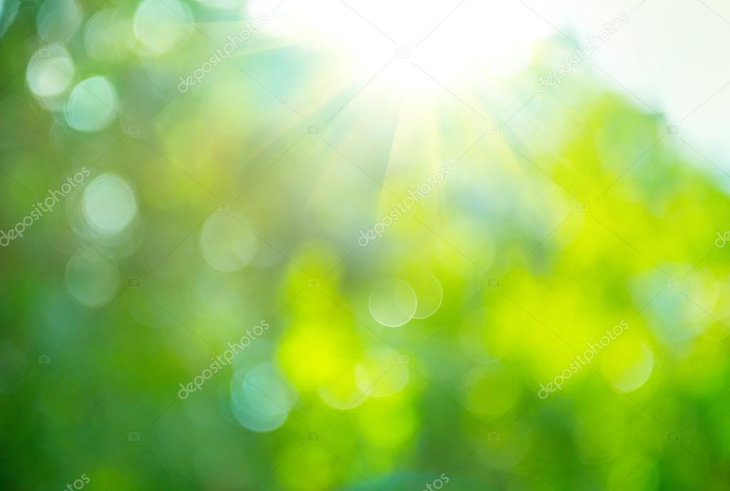 Beautiful Nature Blurred Background.