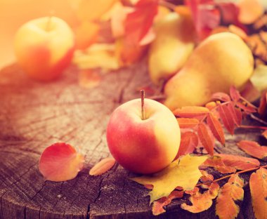 Şükran günü çerçeve arka plan.