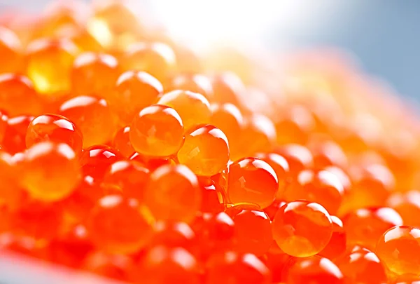 Trout caviar closeup — Stock Photo, Image