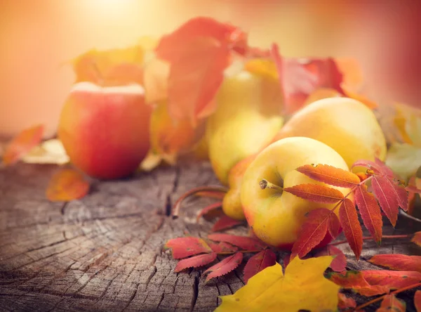 Thanksgiving ram bakgrunden. — Stockfoto