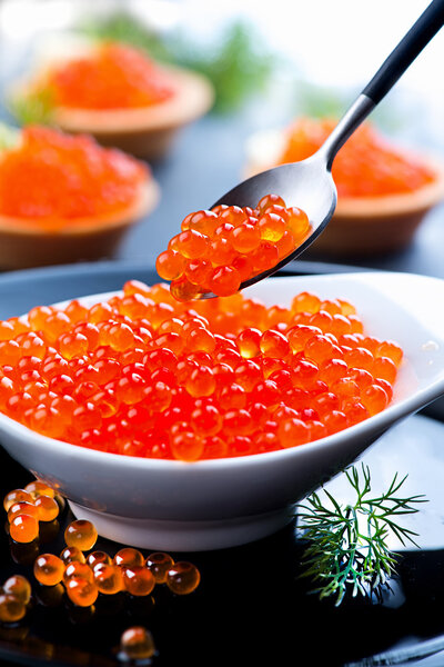 Red caviar. Trout caviar in spoon